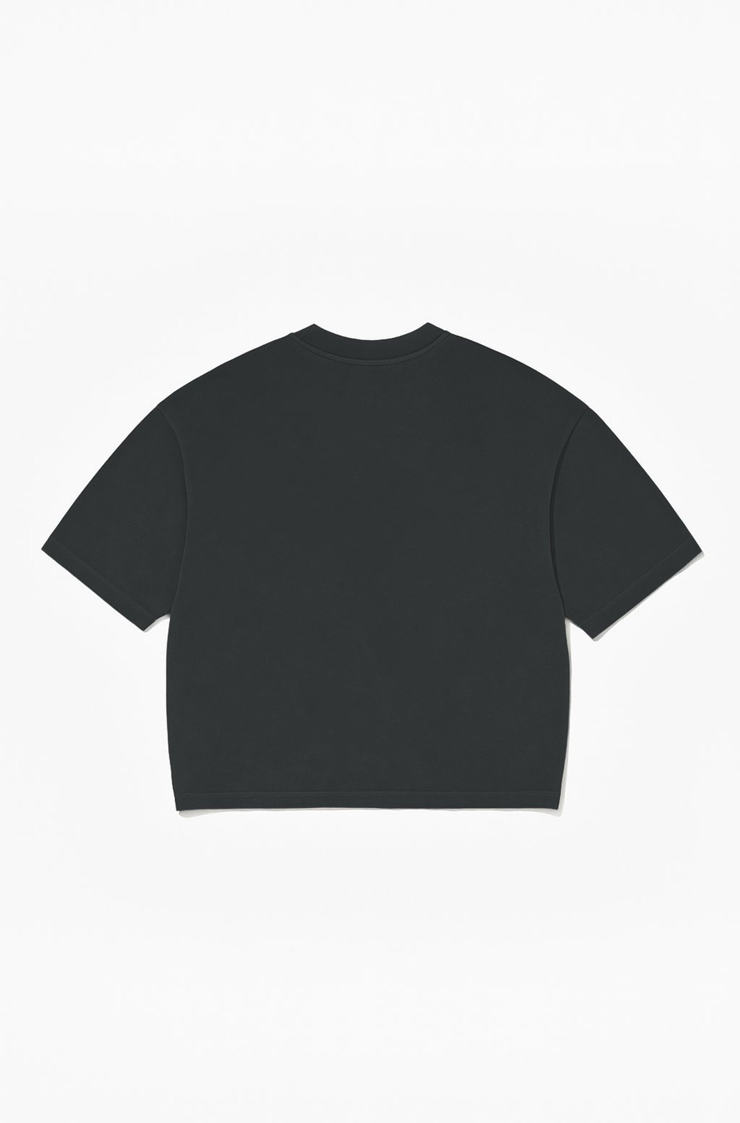 Camiseta Boxy Over Gardening Dept.