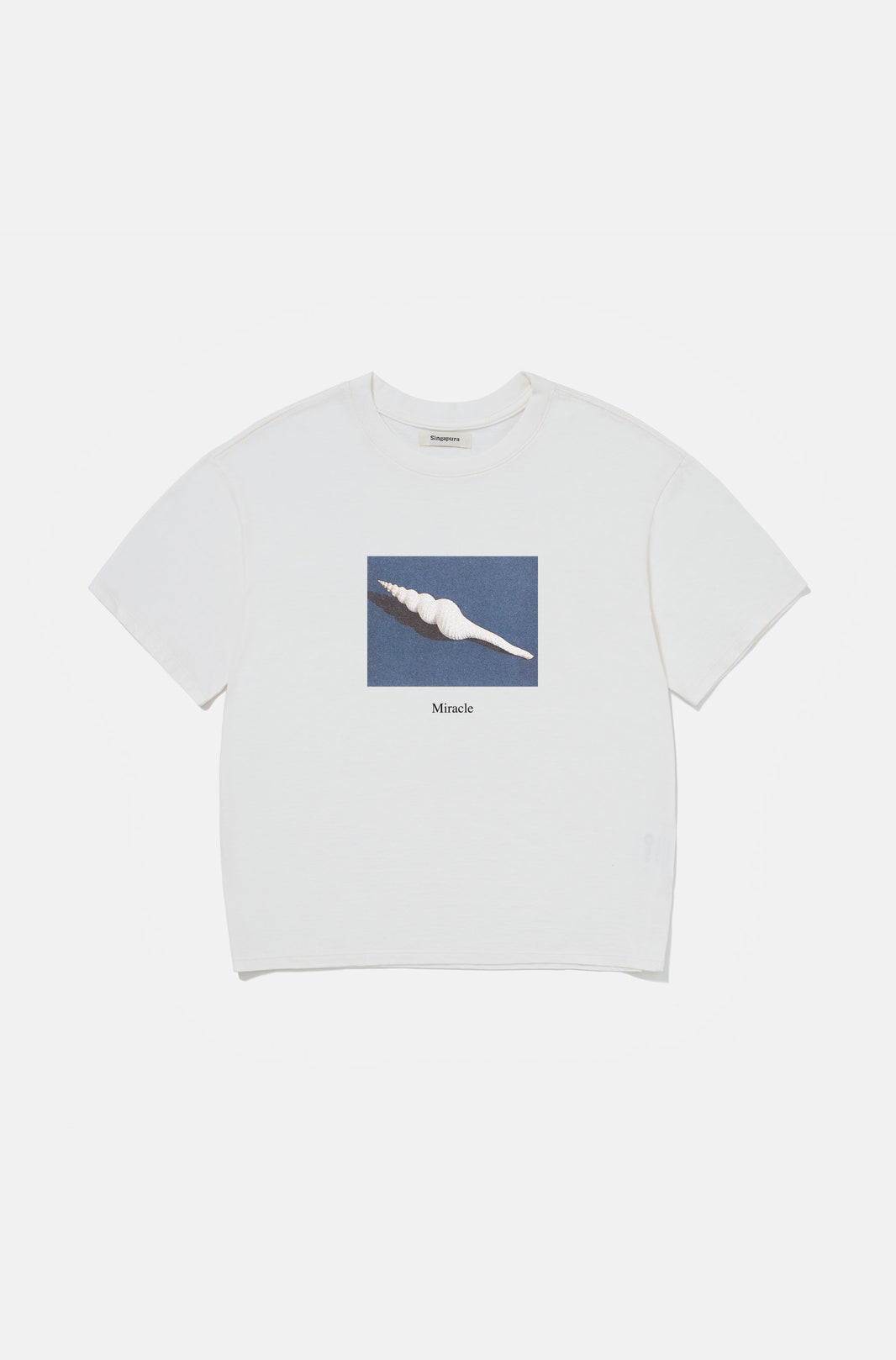 Camiseta Boxy Regular Miracle