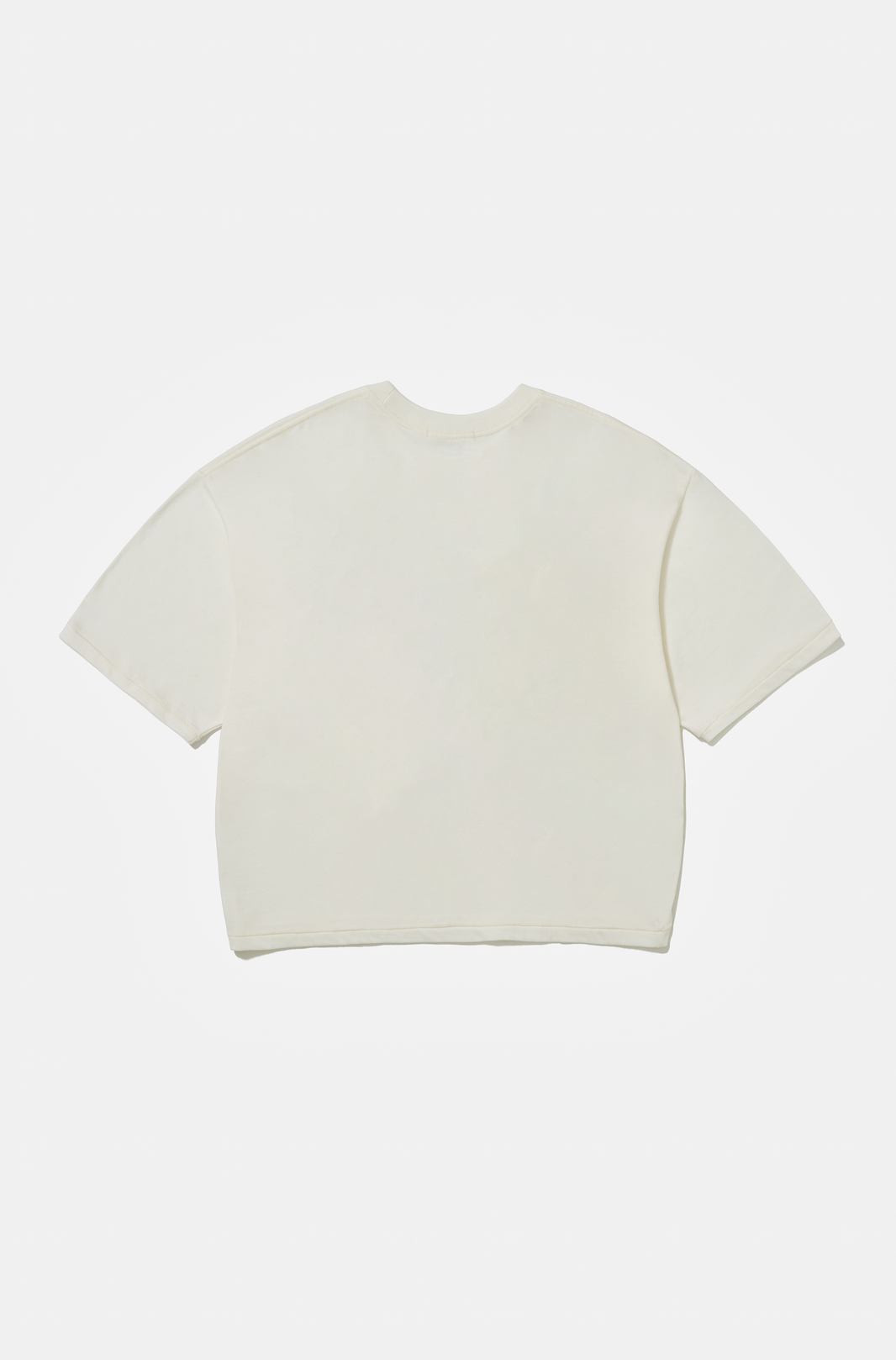 Camiseta Boxy Over Medicinal Herbs