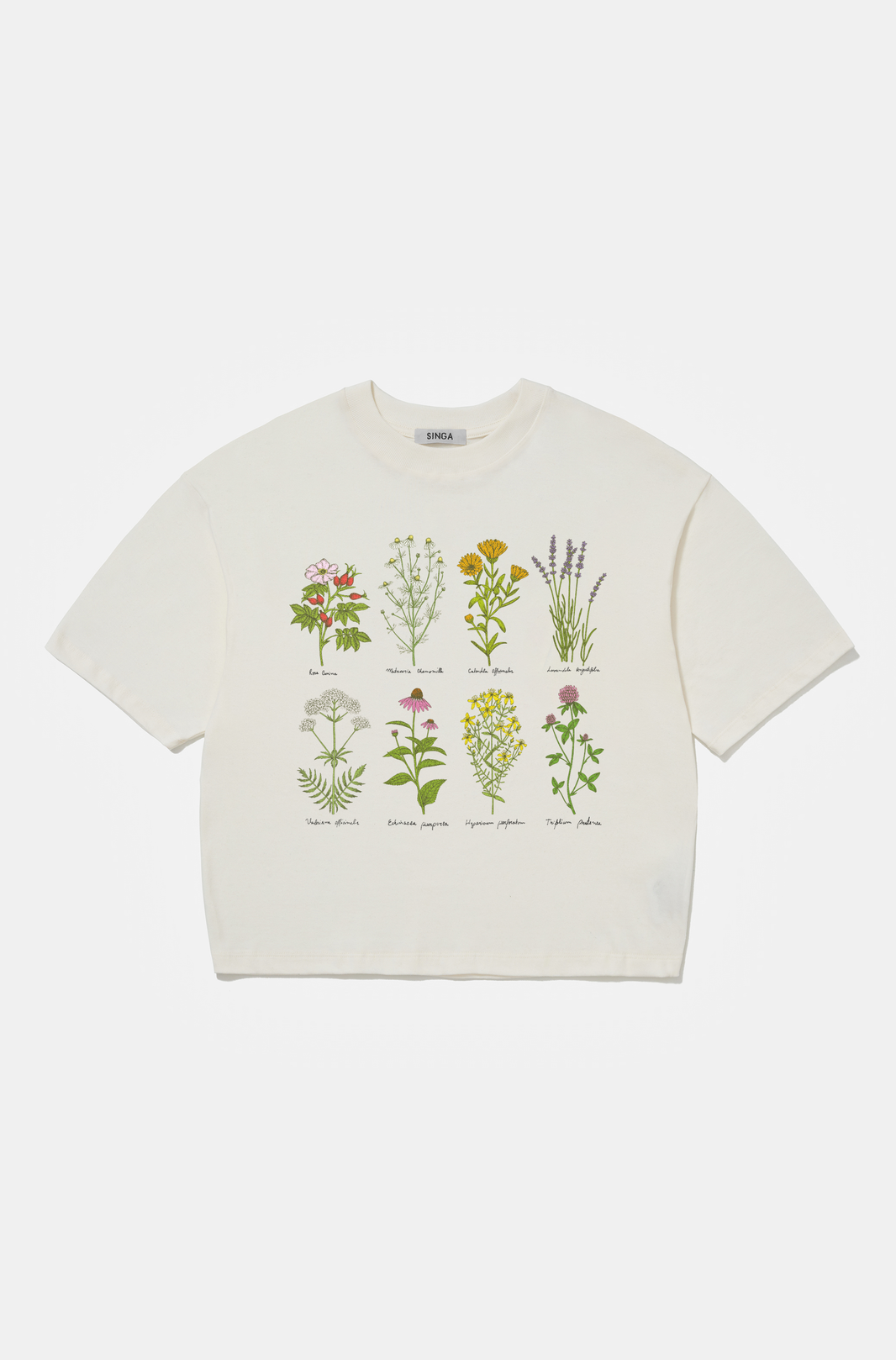 Camiseta Boxy Over Medicinal Herbs