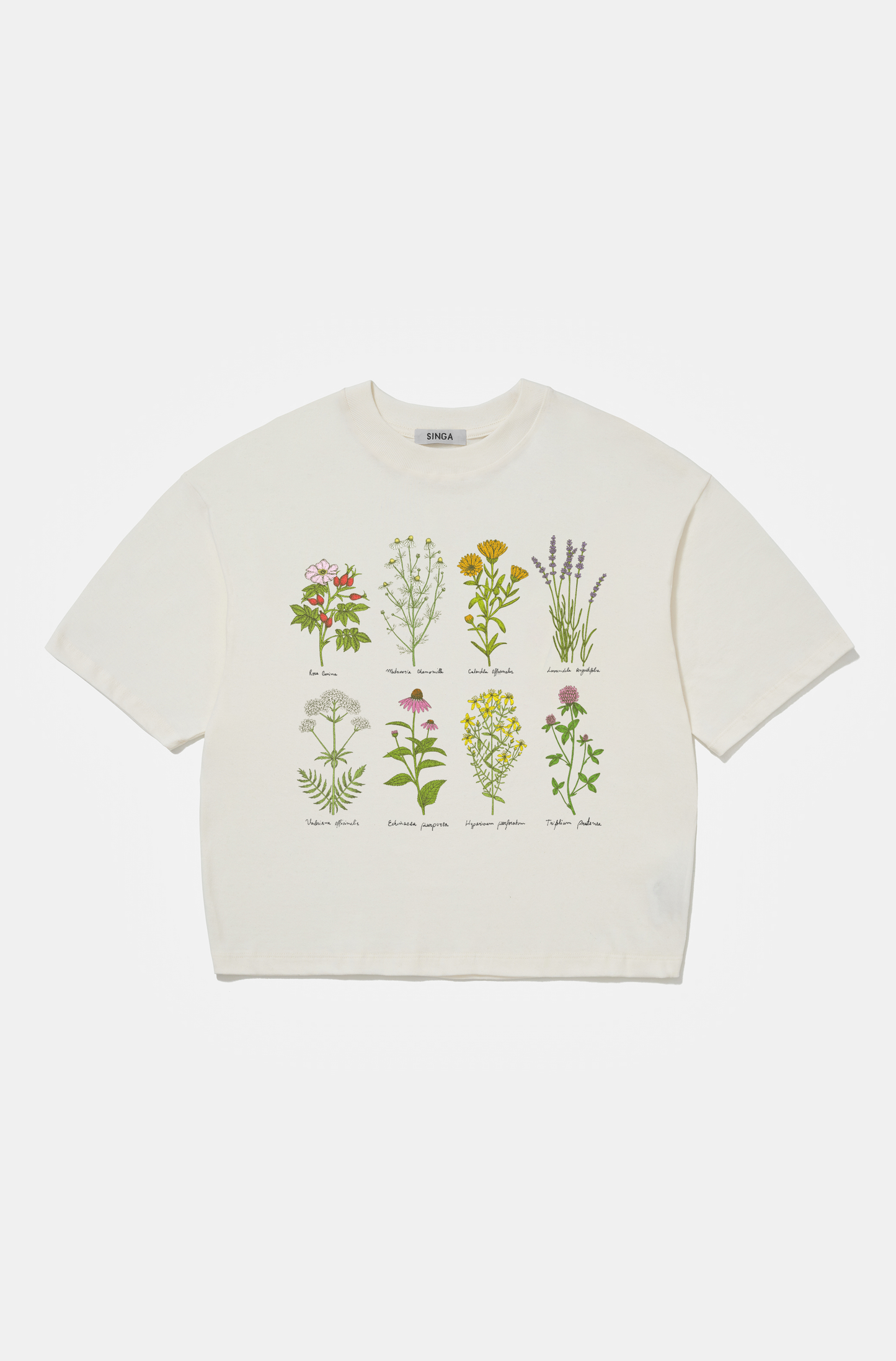 Camiseta Boxy Over Medicinal Herbs