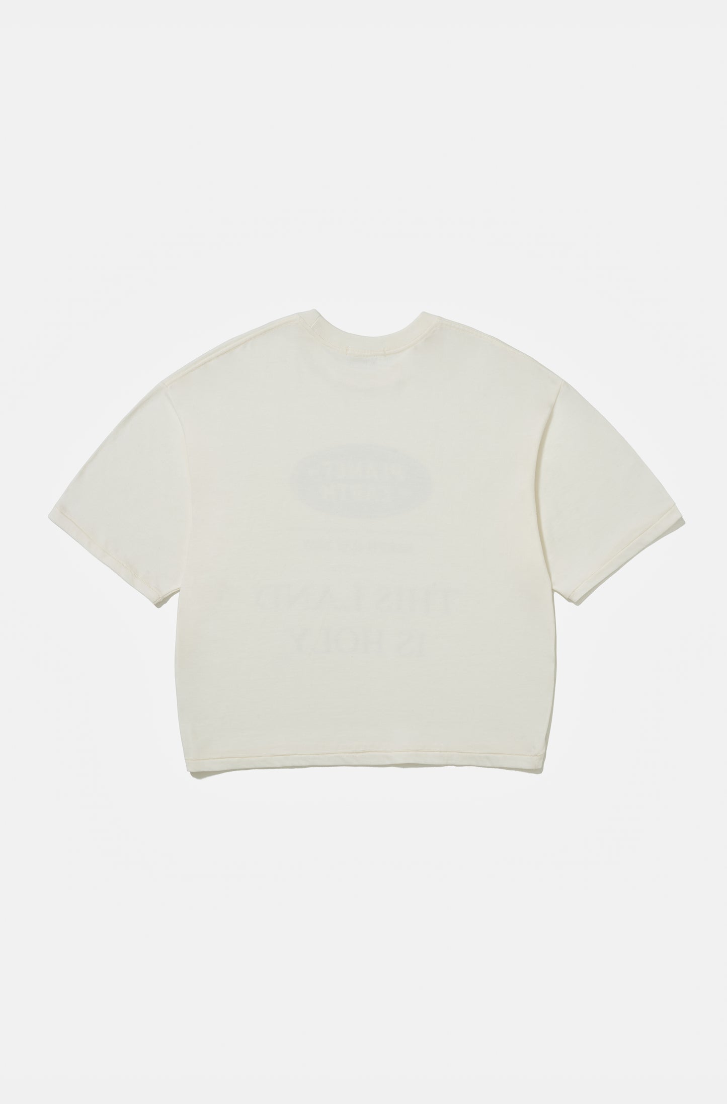 Camiseta Boxy Oversized Earth Day 2025
